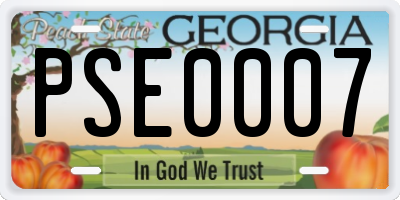 GA license plate PSE0007