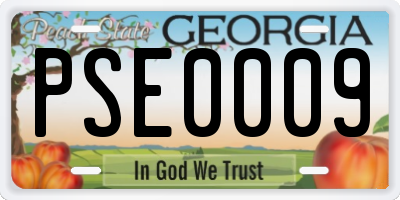 GA license plate PSE0009