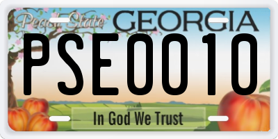 GA license plate PSE0010