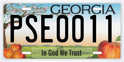 GA license plate PSE0011