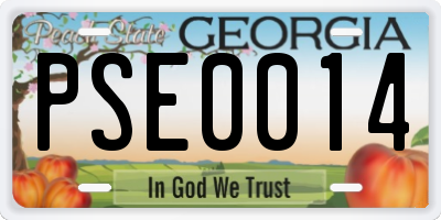GA license plate PSE0014