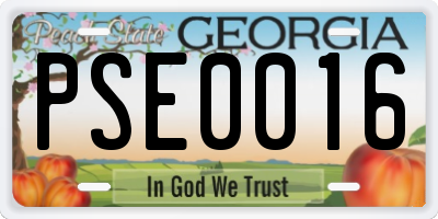 GA license plate PSE0016