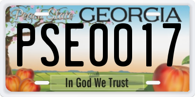 GA license plate PSE0017