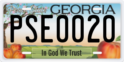 GA license plate PSE0020