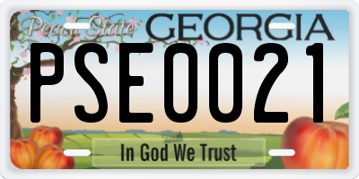 GA license plate PSE0021