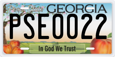 GA license plate PSE0022
