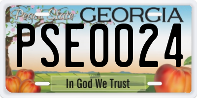 GA license plate PSE0024