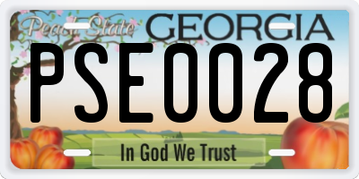 GA license plate PSE0028
