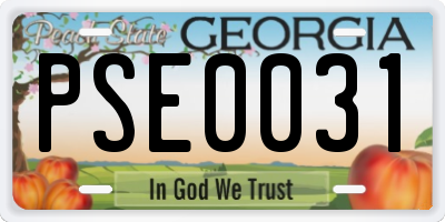 GA license plate PSE0031