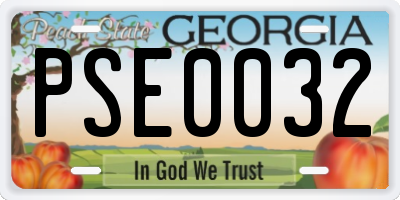 GA license plate PSE0032