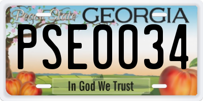GA license plate PSE0034