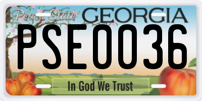 GA license plate PSE0036
