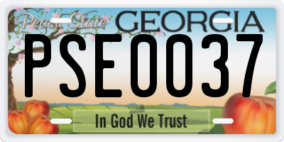 GA license plate PSE0037