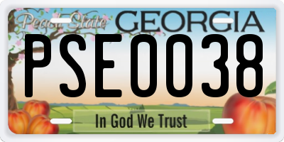 GA license plate PSE0038