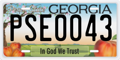 GA license plate PSE0043
