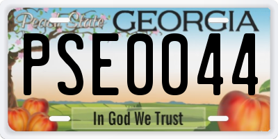 GA license plate PSE0044