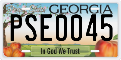 GA license plate PSE0045
