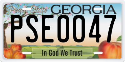 GA license plate PSE0047