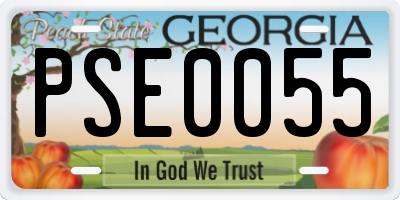 GA license plate PSE0055