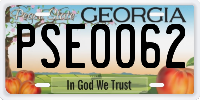 GA license plate PSE0062