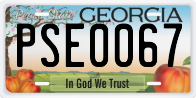 GA license plate PSE0067
