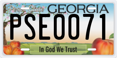 GA license plate PSE0071