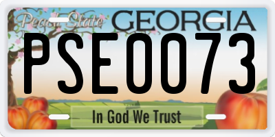 GA license plate PSE0073
