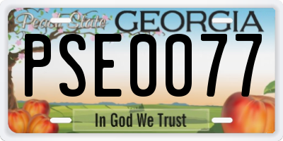 GA license plate PSE0077