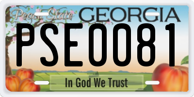 GA license plate PSE0081