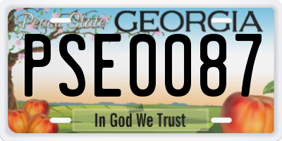 GA license plate PSE0087