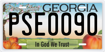 GA license plate PSE0090