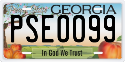 GA license plate PSE0099