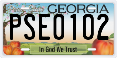 GA license plate PSE0102