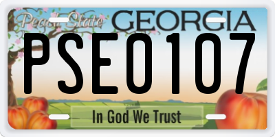 GA license plate PSE0107