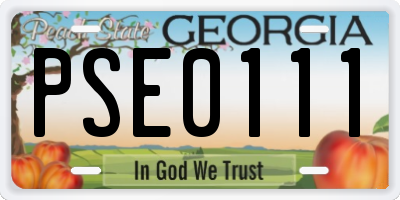 GA license plate PSE0111