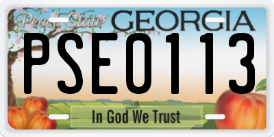 GA license plate PSE0113