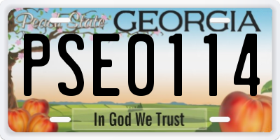 GA license plate PSE0114