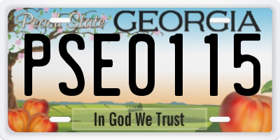 GA license plate PSE0115
