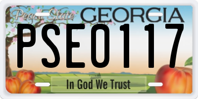 GA license plate PSE0117