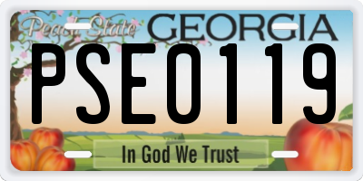 GA license plate PSE0119