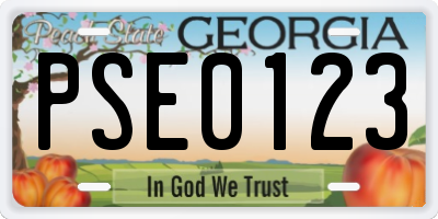 GA license plate PSE0123