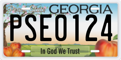 GA license plate PSE0124