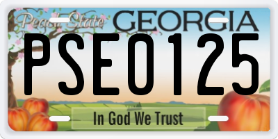 GA license plate PSE0125