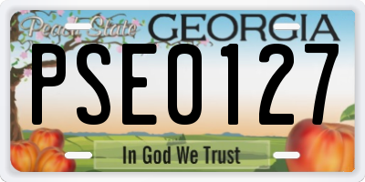 GA license plate PSE0127