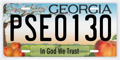 GA license plate PSE0130