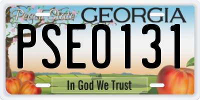 GA license plate PSE0131