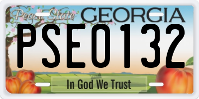GA license plate PSE0132