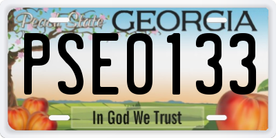 GA license plate PSE0133