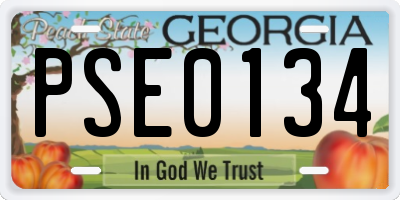 GA license plate PSE0134