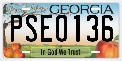 GA license plate PSE0136